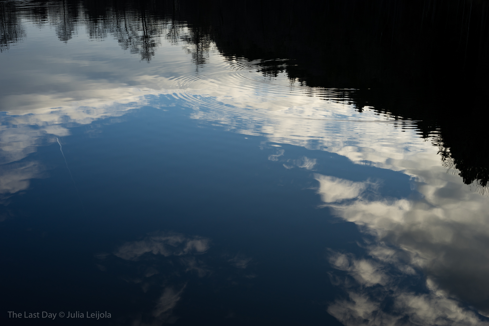 A reflection of a morning sky and the surrounding forest on a lake.
